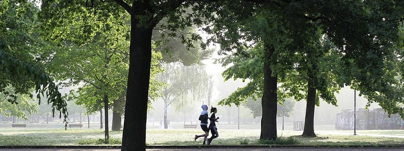 03-regular-activity-is-important